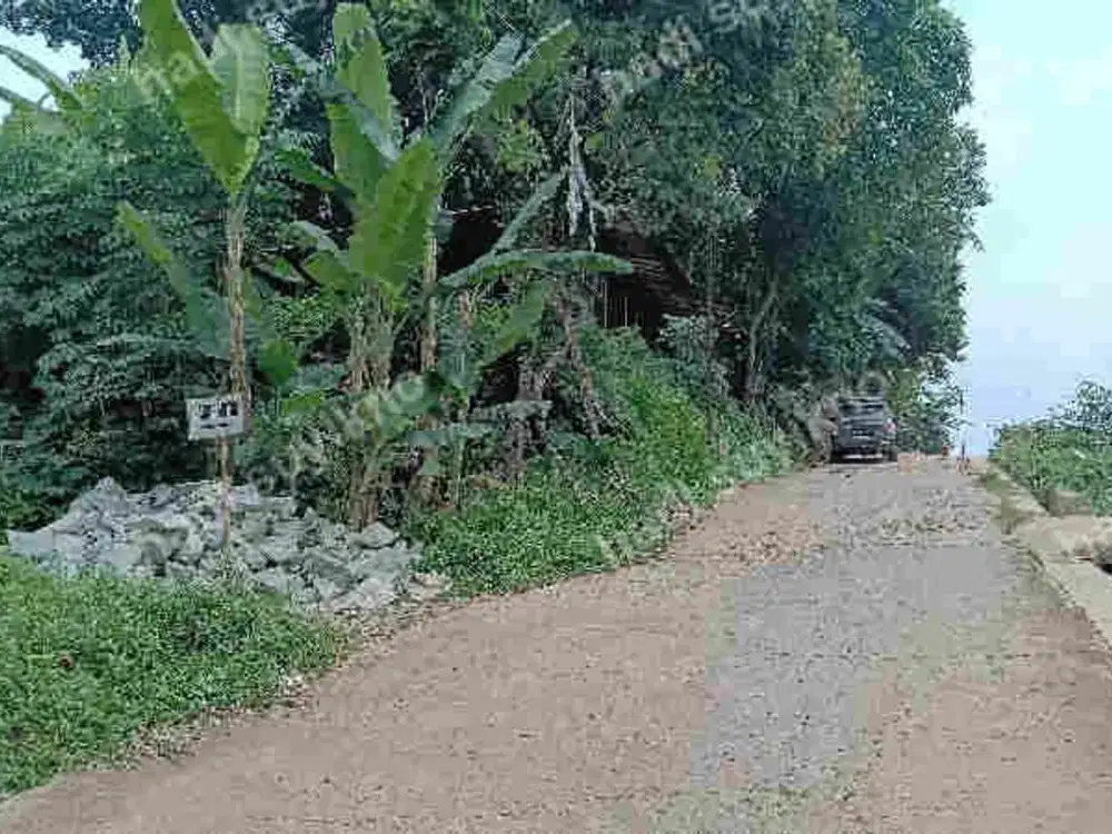 Jual Tanah SHM 750 M2 jl Tambora UPN limo depok