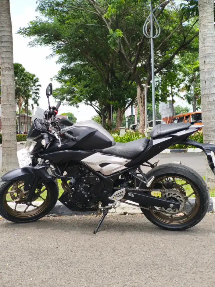 Yamaha MT 25 2019 old