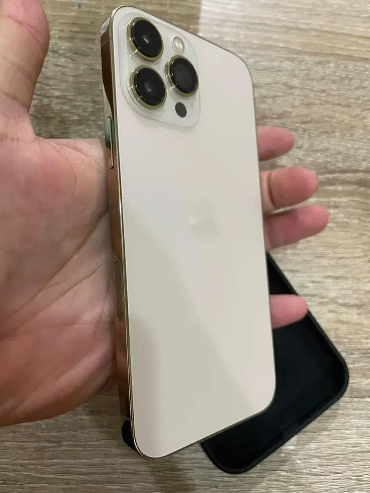 13 pro max ( dlu beli di ps store )