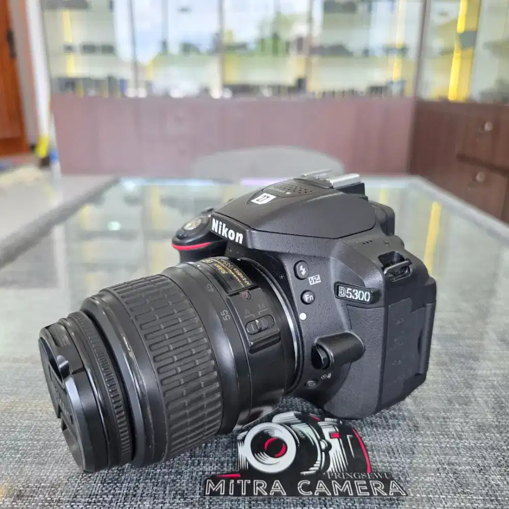 NIKON D5300 sc 7rb