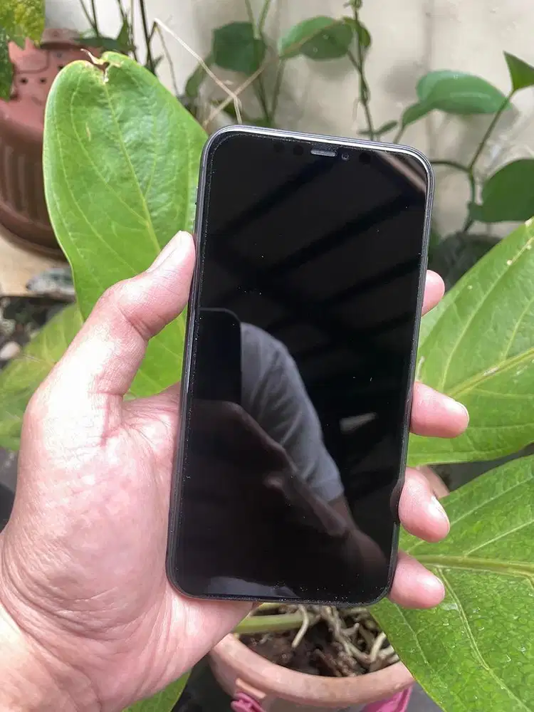 Iphone 11 256gb All Operator