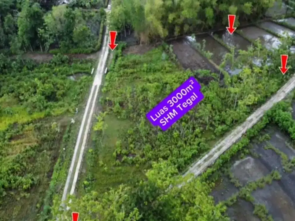 Murah, Tanah 2 bidang