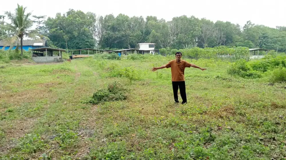 Jual tanah di purworejo potensi ternak