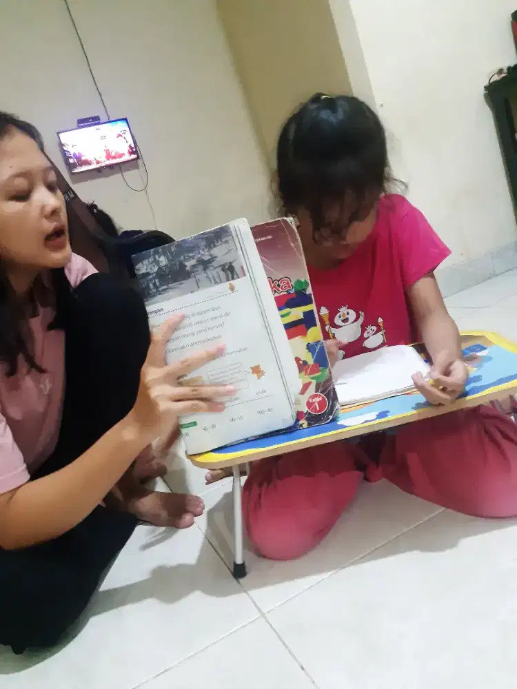 Penyalur baby sitter dan art