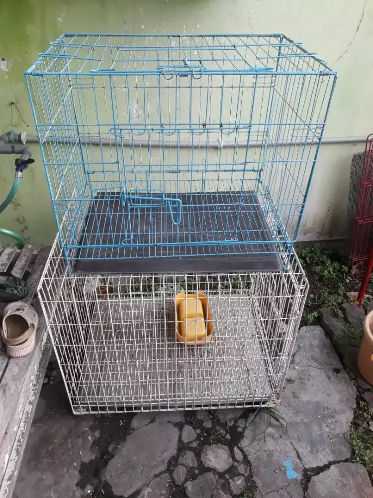 Kandang kucing masih bagus