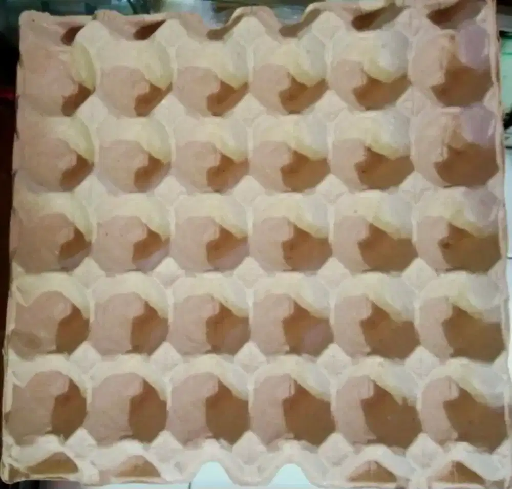 Karpet telor ada 1 karung 30 rb