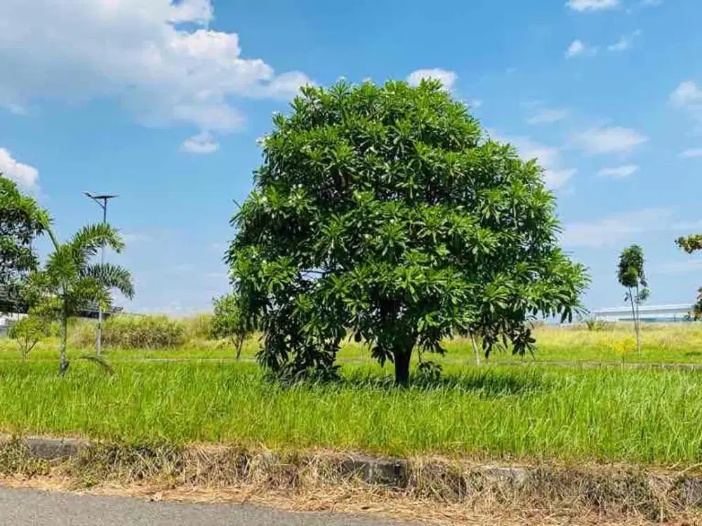 Dijual Lahan Industri Strategis di Kawasan Industri Karawang – Harga Terbaik 2,5 Juta/m² Nego!