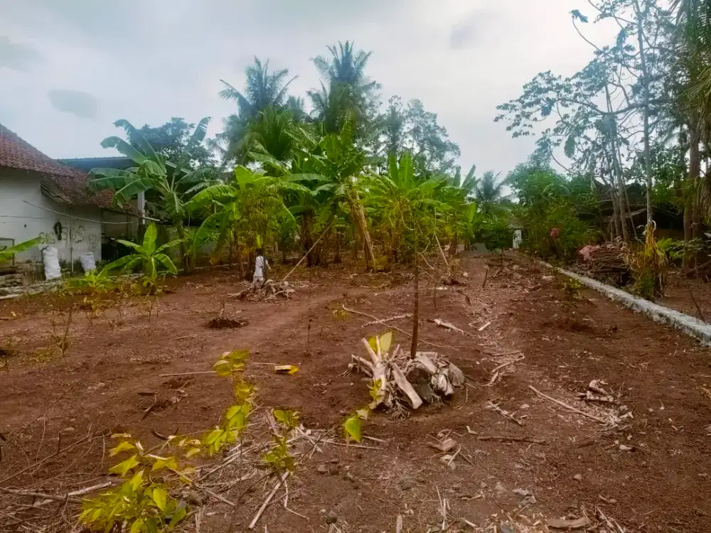 Dijual Tanah Murah SHM 775m