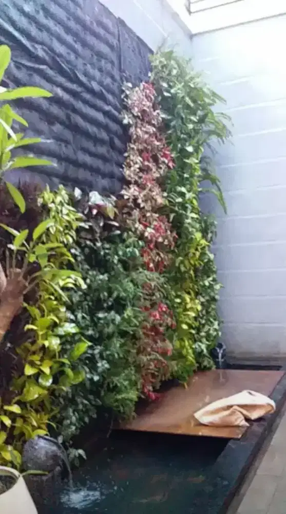 pembuatan taman partikel garden