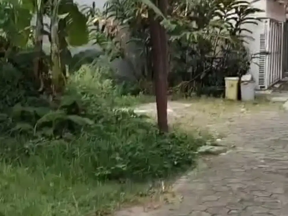 Jual Tanah SHM 115 M2 di Beji Sempu depok