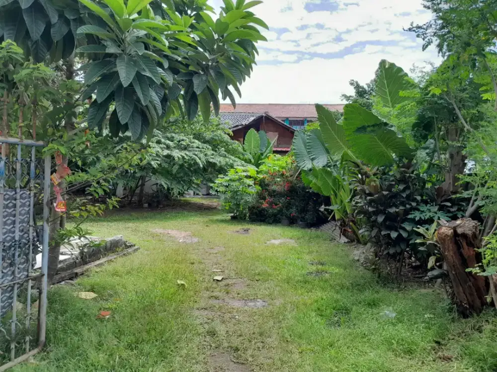 Di Jual Rumah Hitung Tanah. Di Jagakarsa. Jakarta Selatan.