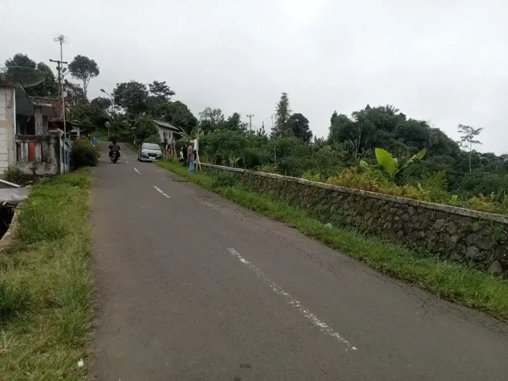 Di jual lhan tanah darat lt 67000 mtr surat SHM pinggir jln