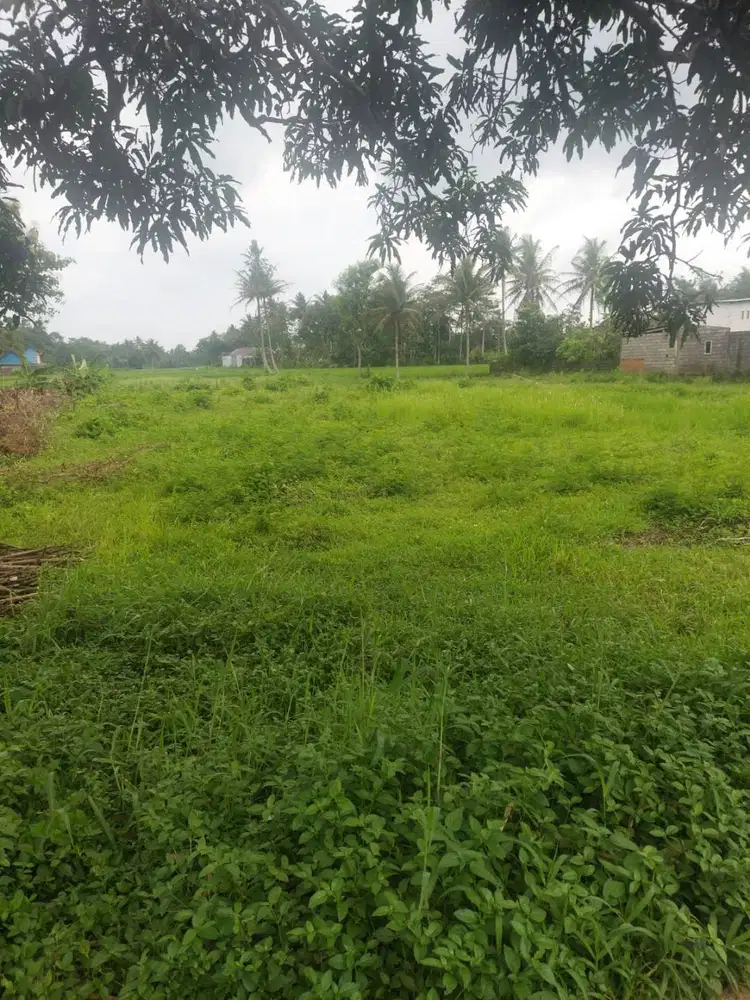 Dijual Tanah Pribadi di Penarukan