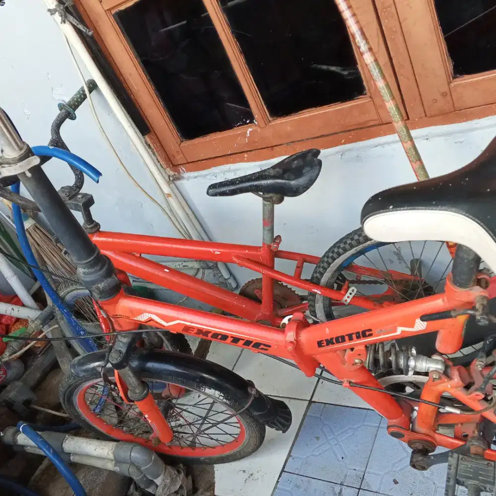 SEPEDA LIPAT EXOTIC ( Jual Cepat )