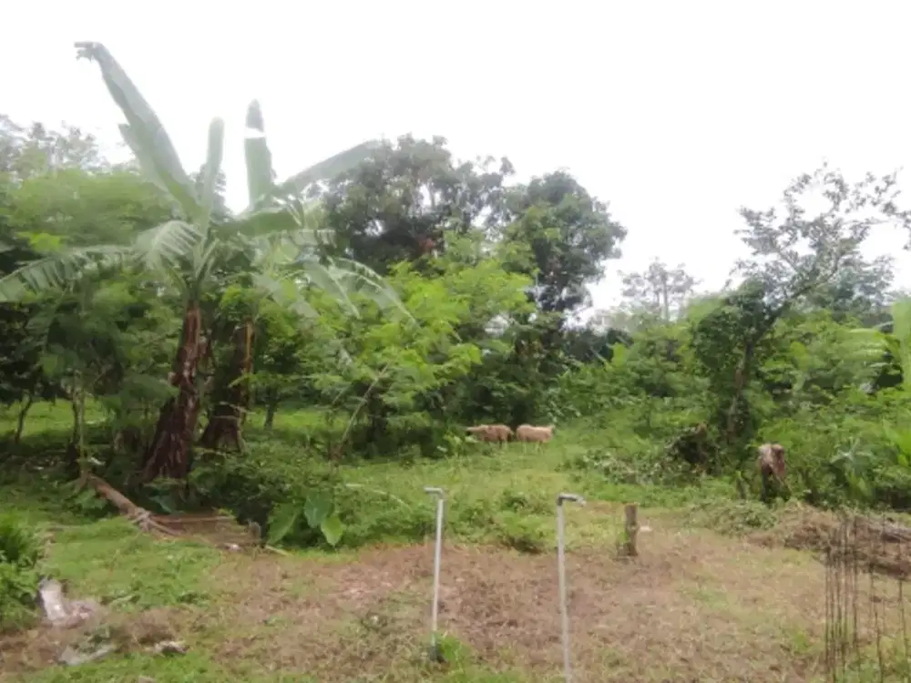 Tanah Kavling 1500m² di Pamulang 2, Pamulang