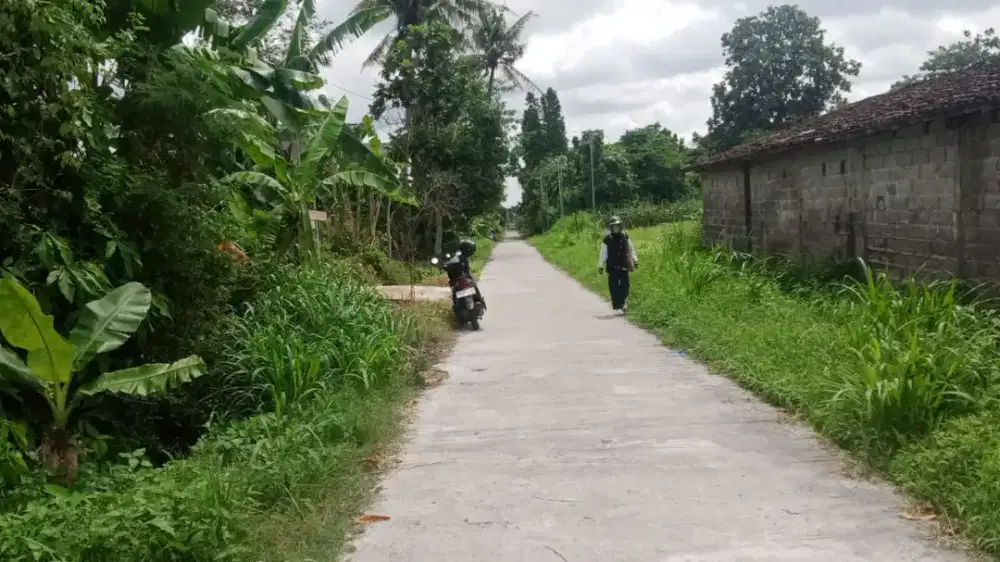 TANAH SAWAH DIJUAL , WEDOMARTANI UTARA TAJEM MAGUWO LOTTEMART