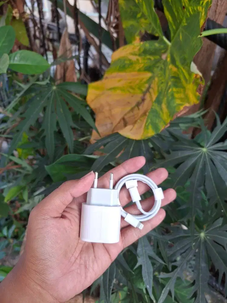 Charger Type C to Lightning