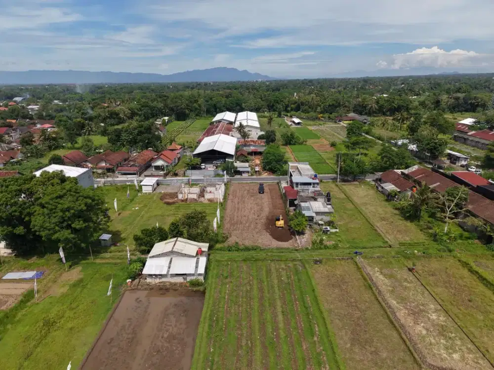 Tanah Cantik View Sawah - Mangku Jalan Raya Pandowoharjo Sleman