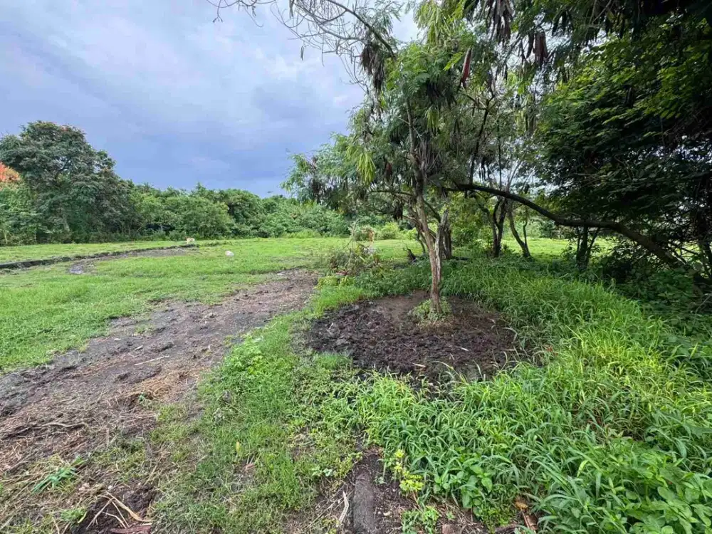 dijual tanah komersil dekat ke pantai lokasi nyanyi