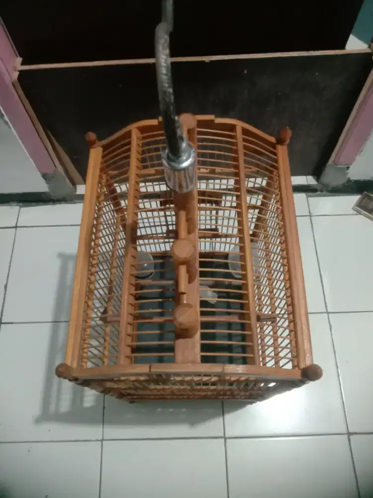 Kandang kotak kayu no 2/3 nilai sendiri dan 1 ekor burung korlap fs