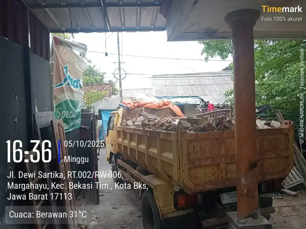 JASA BUANG PUING DAN PENGURUGAN