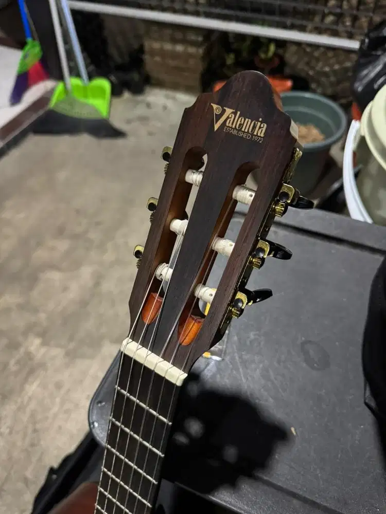 Gitar valencia mulus