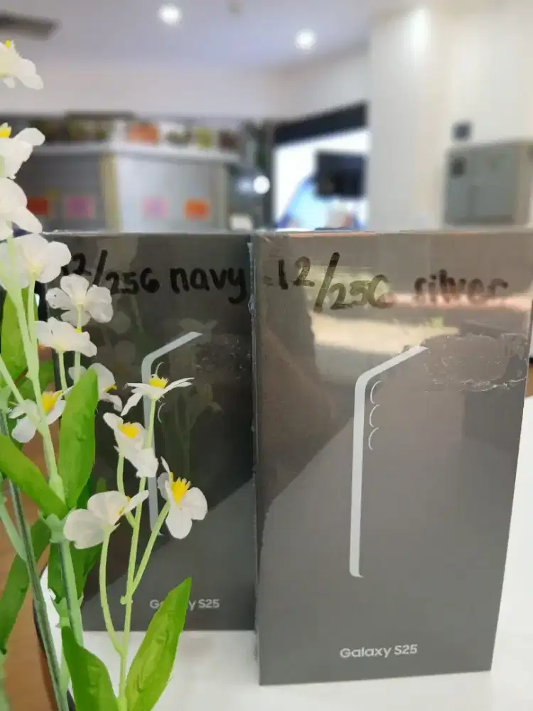 Samsung S25 12/256