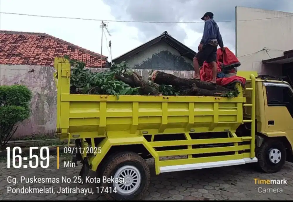 JASA BUANG PUING MURAH