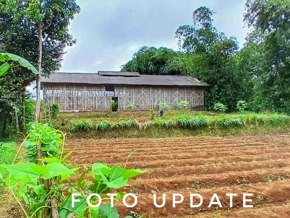 Dijual tanah kebun luas subur tepi jalan plus eks kandang ayam