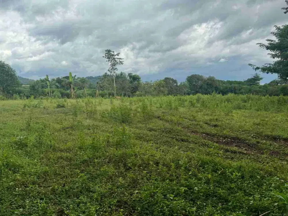 Jual  Tanah Lahan  Perumahan