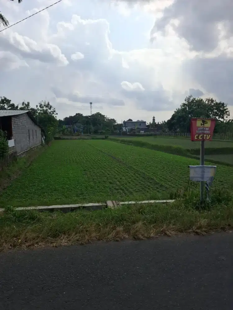 Jual tanah di Wirokerten harga 1,6jt/m² (nego)