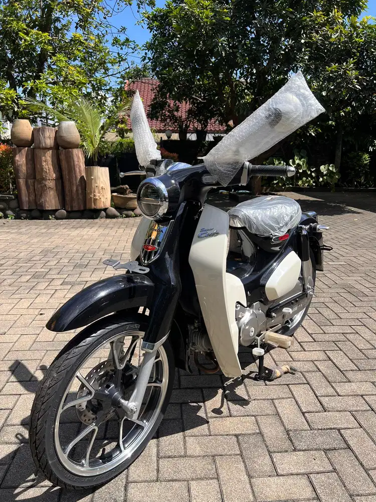 HONDA SUPER CUB 125 (new!)