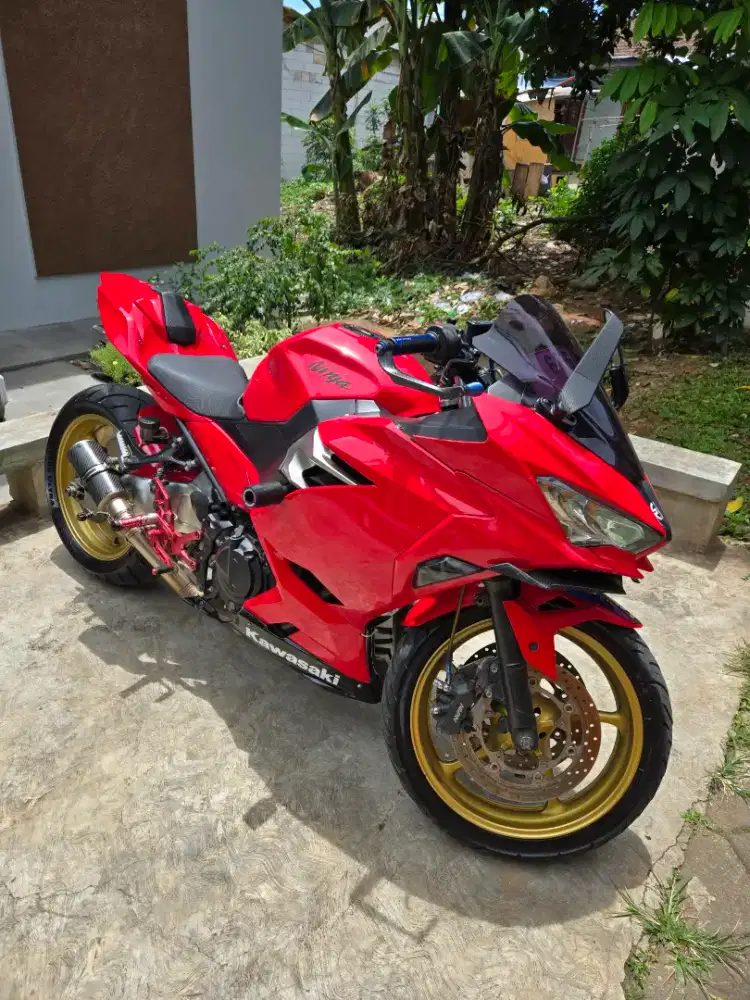 NINJA 250 FULL MODIF
