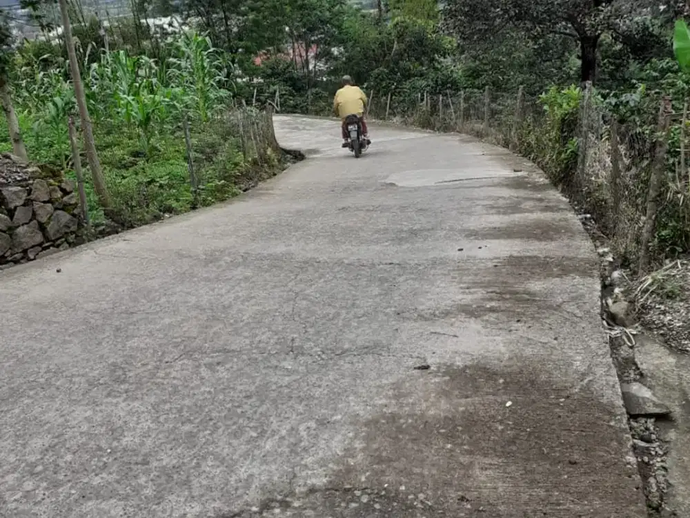 DIJUAL TANAH KEBUN jl. Sukamulya Ciwidey  bisa masuk 1 truk, dkt RM Sindang Reret, -NF'NA