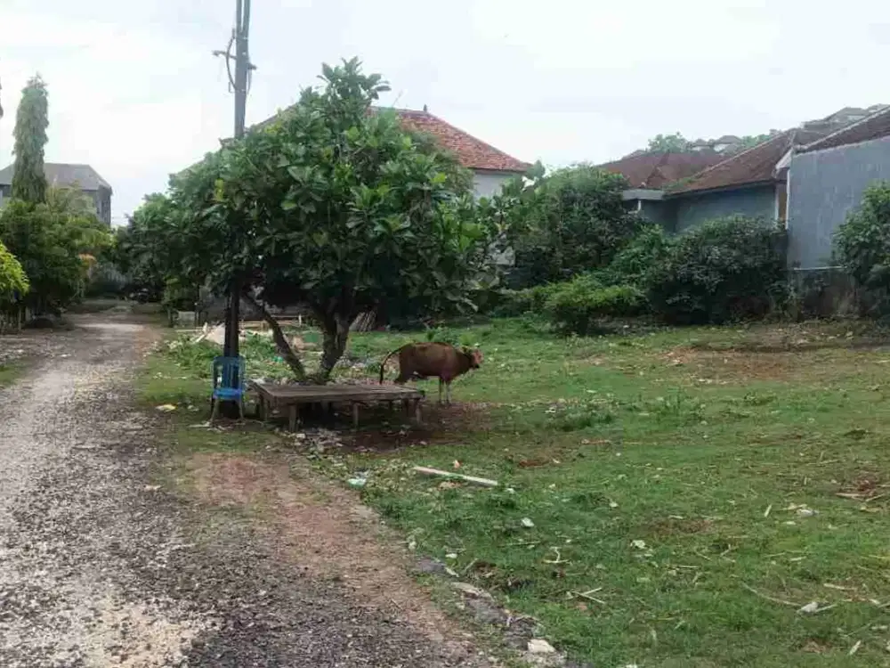 Dijual tanah kawasan kampus unud jimbaran Kuta Selatan