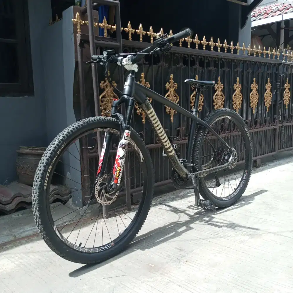 Sepeda DOMINATE 29ers