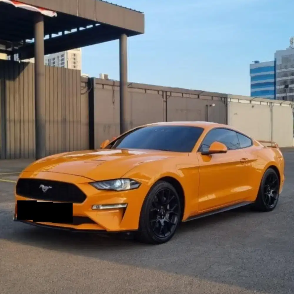 Ford Mustang Ecoboost Nik 2019