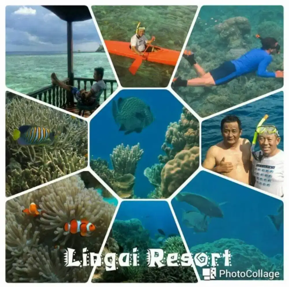 Dijual tanah Resort and Homestay