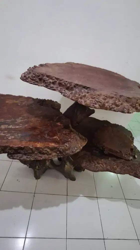 Meja akar kayu dari Aceh !