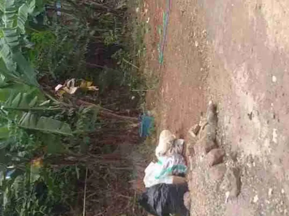 Dijual Cepat Tanah Murah Akses 1 Mobil Cigending Atas Ujungberung Kota Bandung