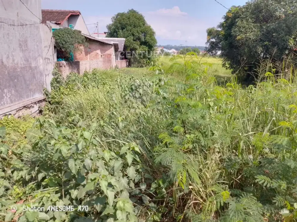 Tanah Cocok Untuk Perumahan Atau Ruko Di Lemahabang Cirebon S8882