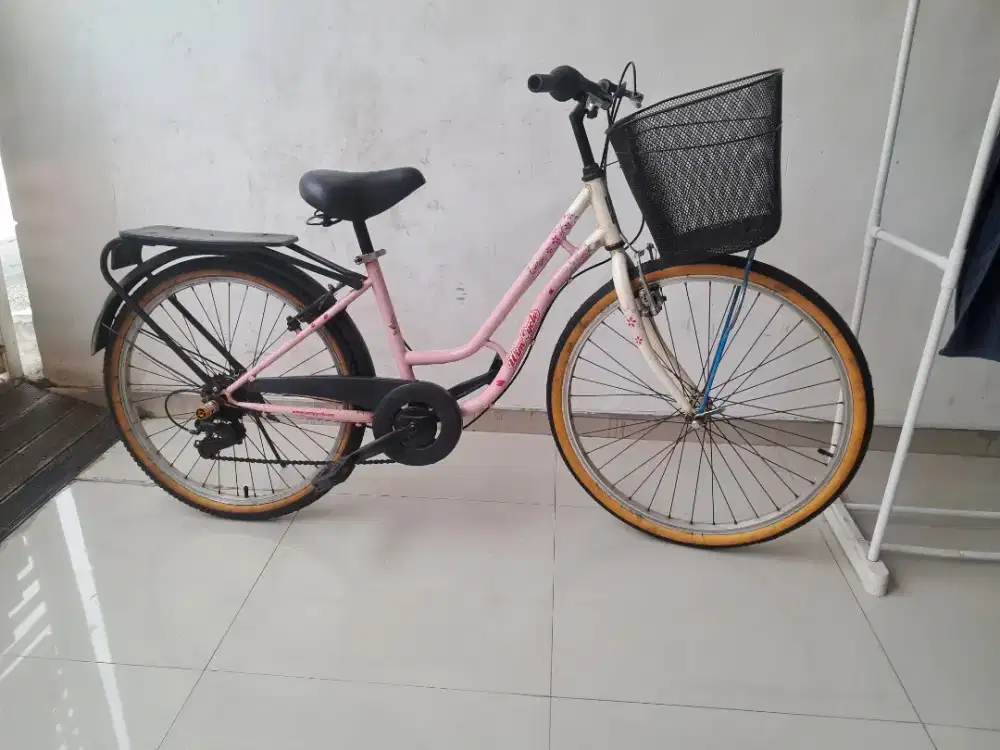 Wimcycle College Sepeda Keranjang
