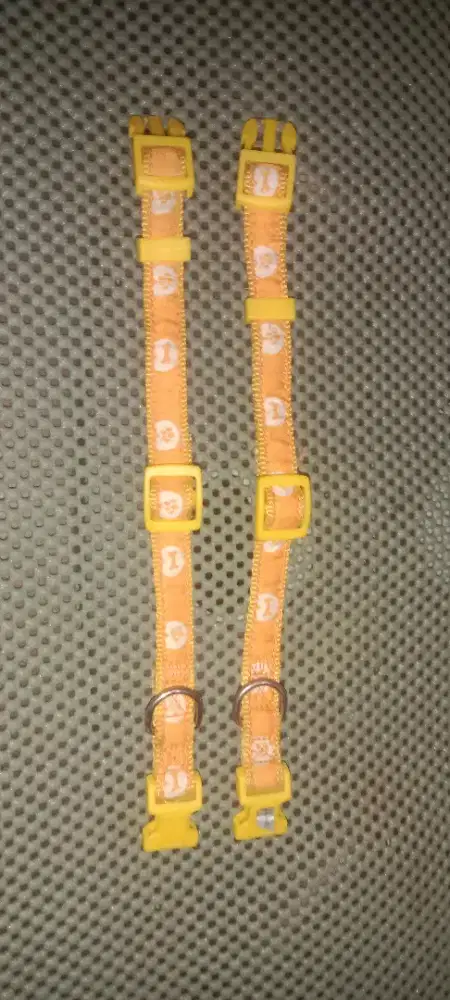 Kalung Anjing/ Kucing Doggy Man