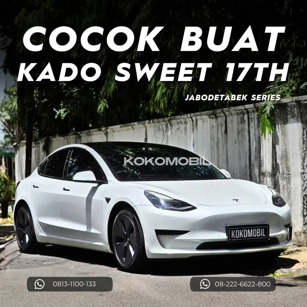 TESLA MODEL 3 A/T 2022