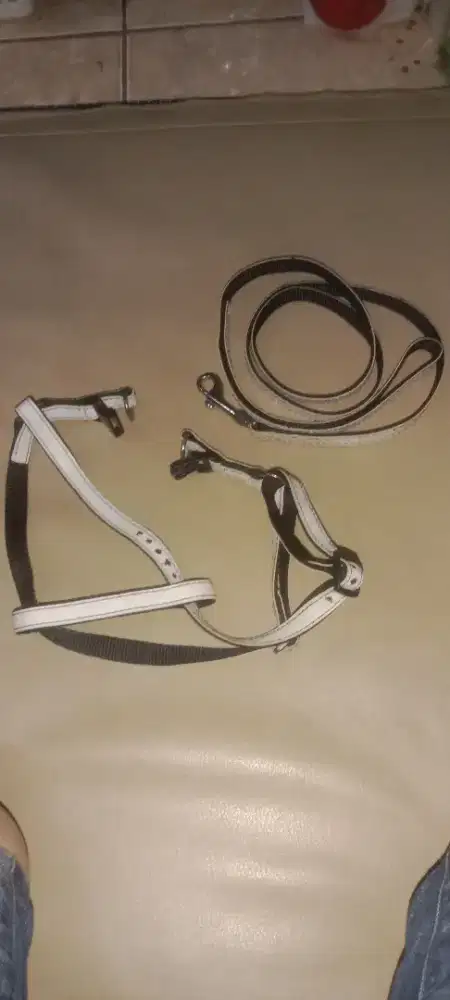 Satu set Tali Badan dan Tali Pegangan tangan untuk Anjing /Kucing