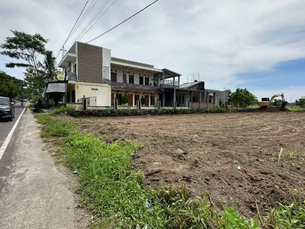 300 Jutaan Pinggir Jalan Raya Utara Jejamuran