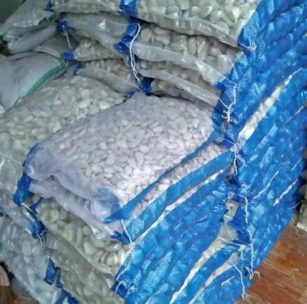 Taman kering # taman minimalis # paket taman