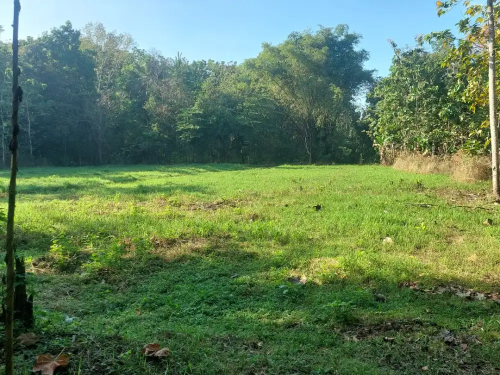 Bangunjiwo, Tanah Kasihan Bantul, Dekat UMY