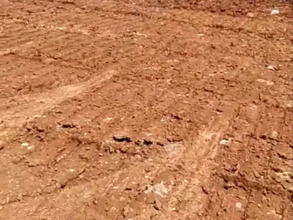 Dijual Cepat Lahan 2,4 Ha SHM Siap Bangun di Sukadiri Tangerang Banten