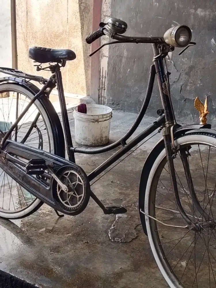 Sepeda kebo royal ori